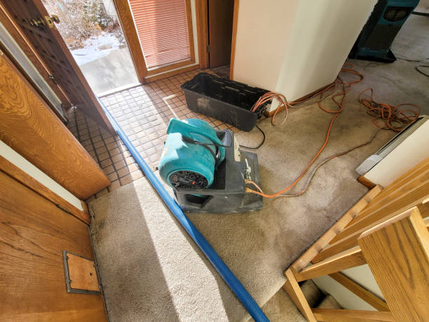 Best Sewage cleanup and water damage restoration  in Blountstown, FL