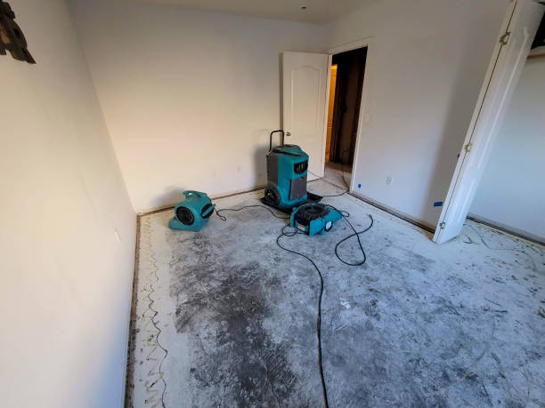 Best Flood restoration services  in Blountstown, FL