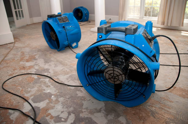 Best Sewage cleanup and water damage restoration  in Blountstown, FL