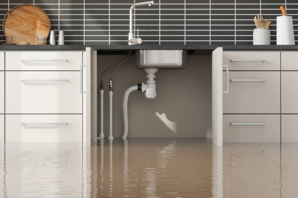 Best Basement water damage restoration  in Blountstown, FL