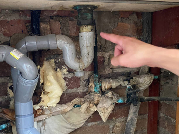 Best Basement water damage restoration  in Blountstown, FL