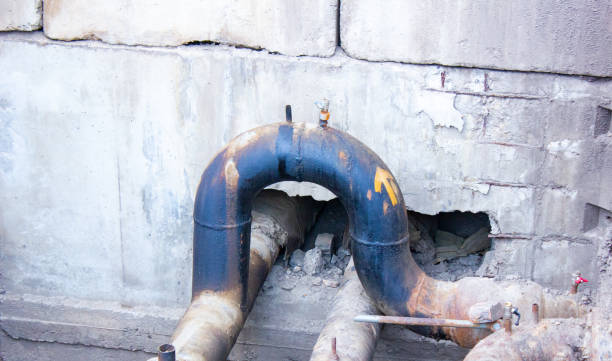 Best Flooded house restoration  in Blountstown, FL