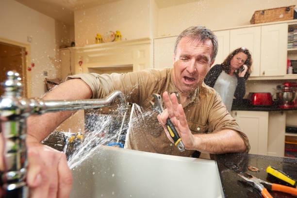 Best Water damage contractors near me  in Blountstown, FL